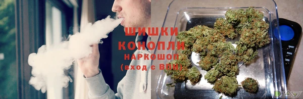 бошки Пролетарск